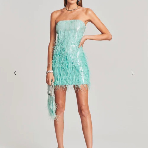 Retrofete Dresses & Skirts - Sequin feather dress